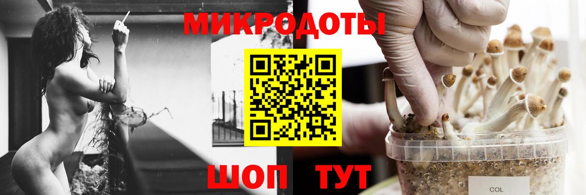 Мичуринск  Галлюциногенные грибы Magic Shrooms  Вход с VPN 